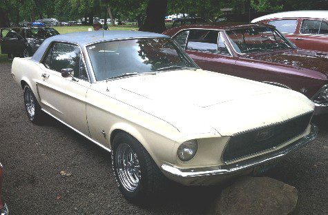 Dan Coven's  1965 Ford Mustang